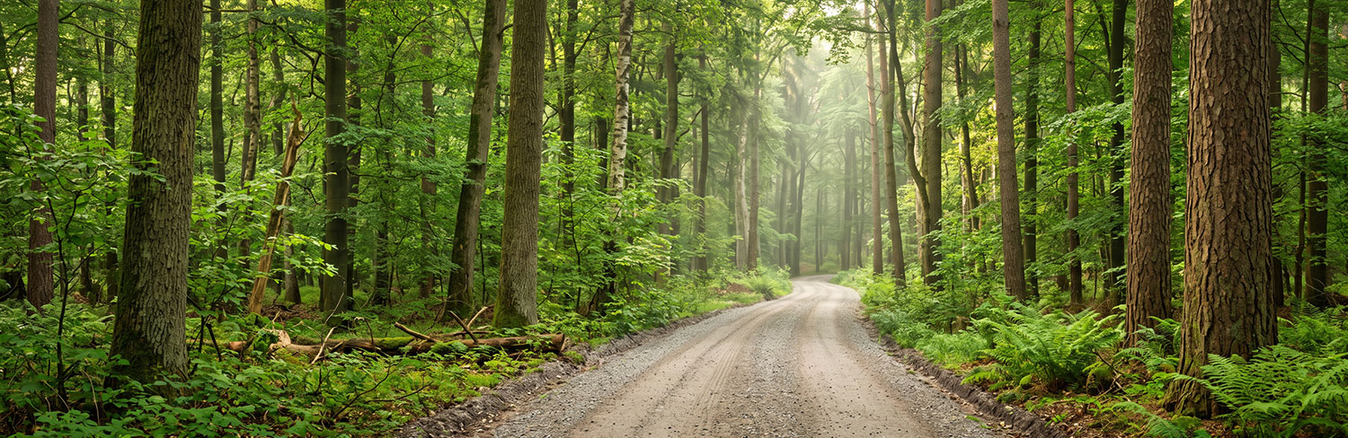 Image: Toyota Showcases Environmental Challenge 2050 Initiatives on Bloomberg's Earth with John Holden